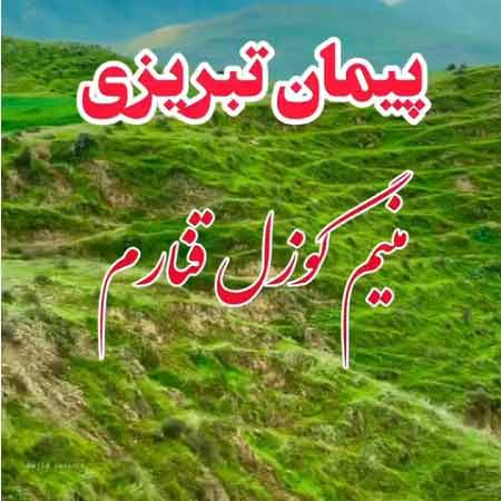 دانلود آهنگ منیم گوزل قناریم پیمان تبریزی دانلود آهنگ منیم گوزل قناریم پیمان تبریزی