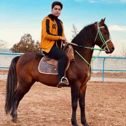 دانلود آهنگ فرشاد مافی نازنین دانلود آهنگ فرشاد مافی نازنین